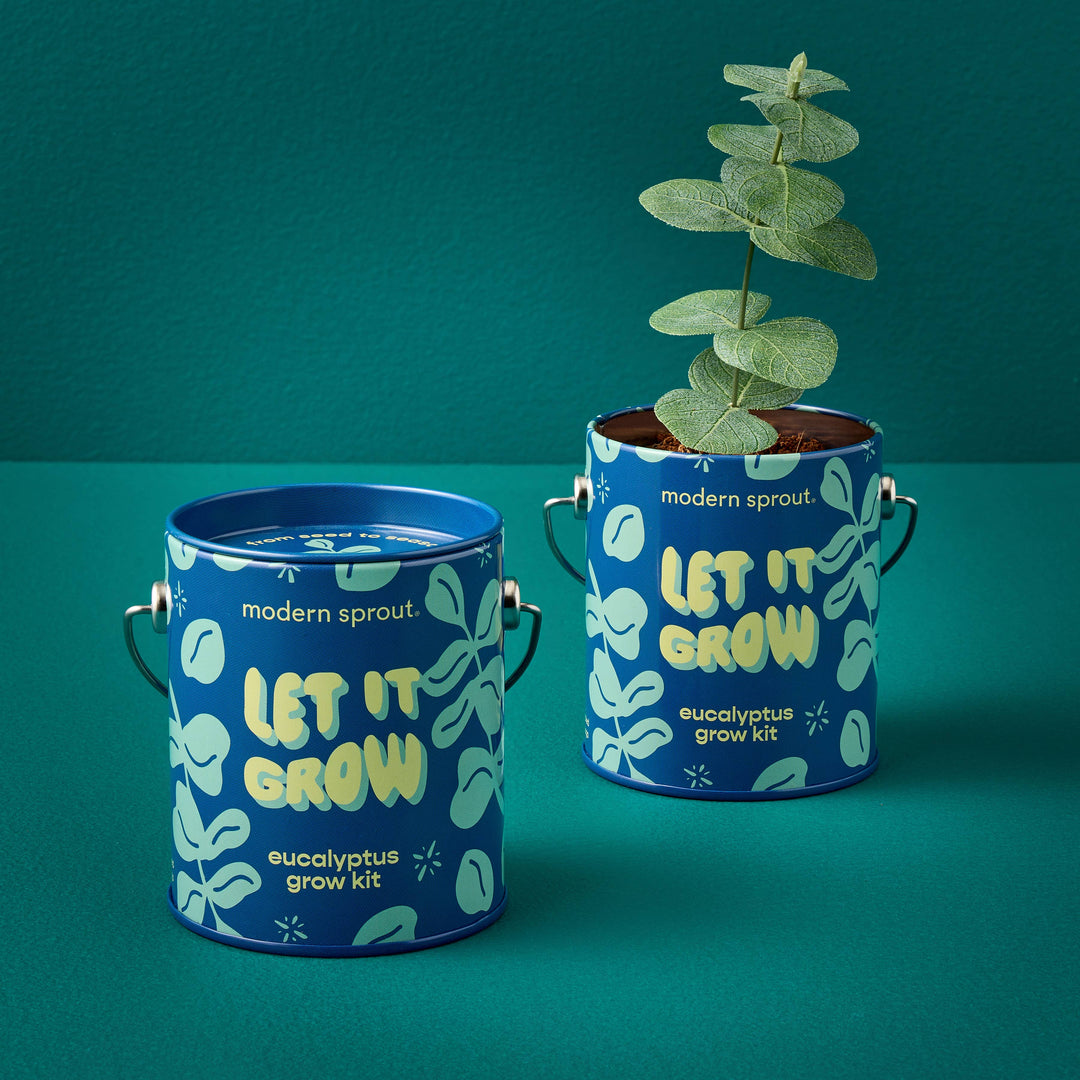 Holiday Complimentary Colors Grow Kits