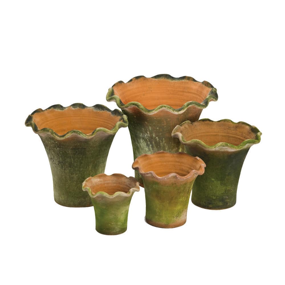 Mossy Terra Cotta Pot – Scallop