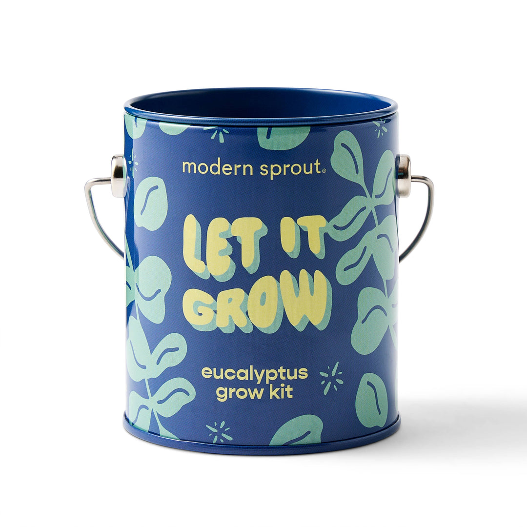 Holiday Complimentary Colors Grow Kits