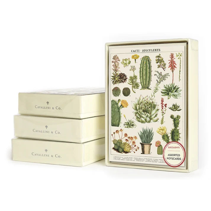 Boxed Notecards