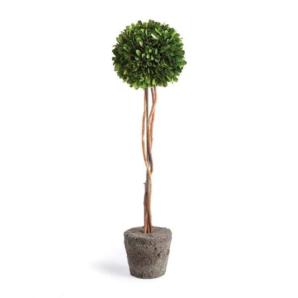 Preserved Boxwood Topiary - Single Sphere