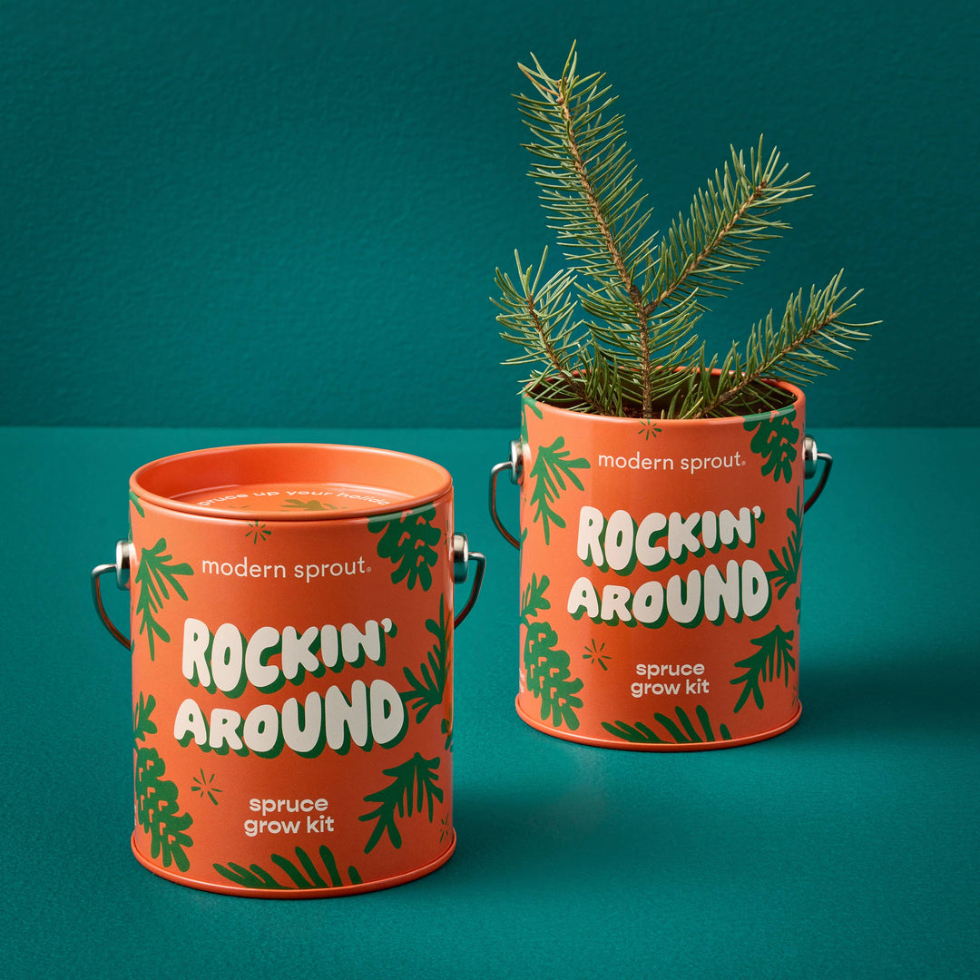 Holiday Complimentary Colors Grow Kits