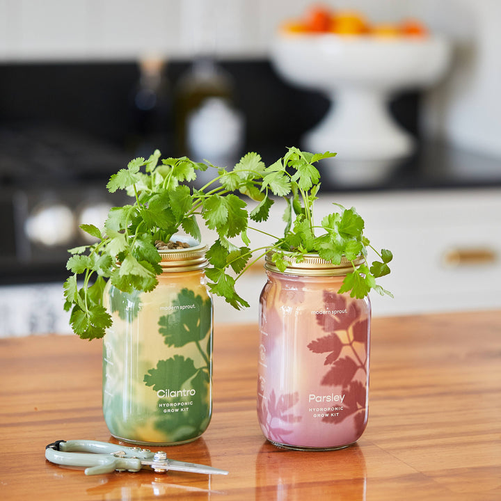 Herb Garden Jar