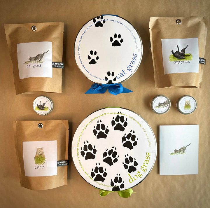 Garden in a Bag - Dog Grass