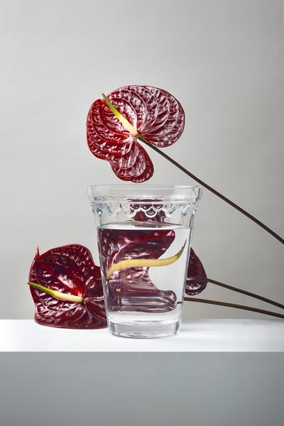 Double Scallop Vase