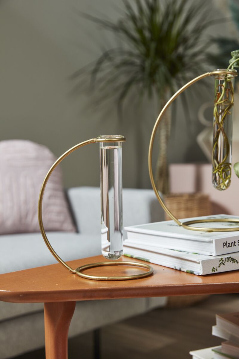 Gold Propagation Stand