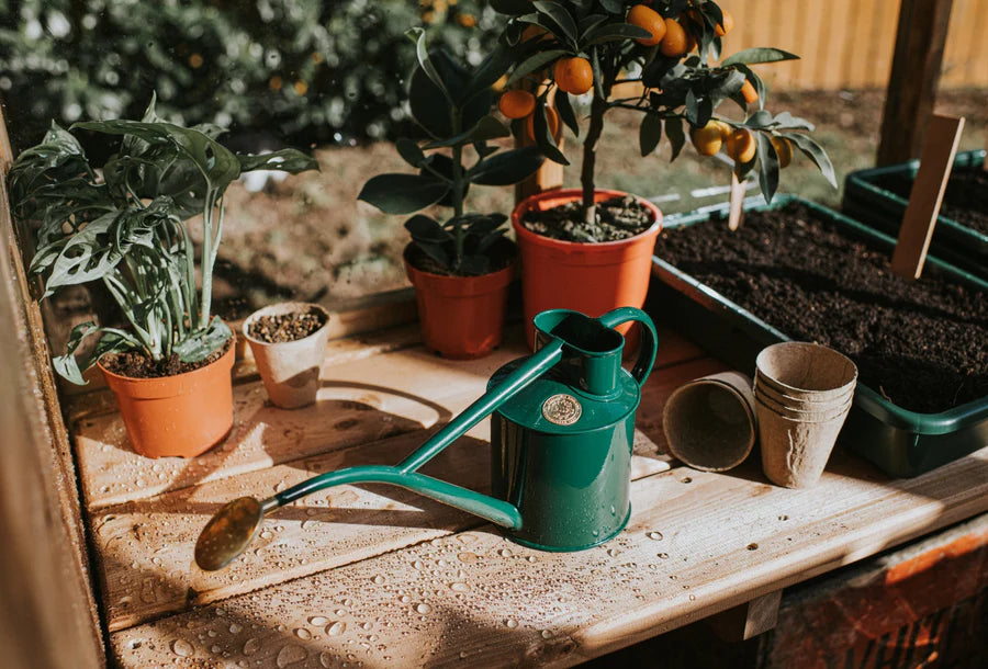 Haws Rowley Watering Can