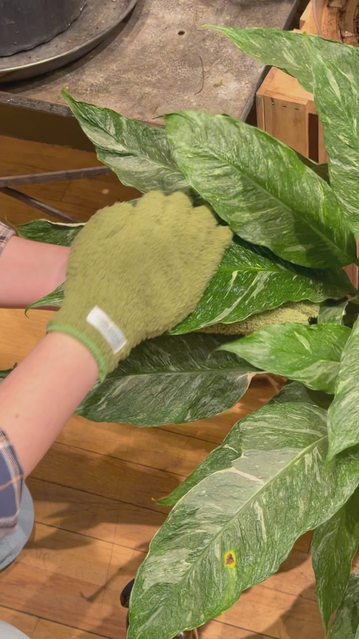 Microfiber Gloves