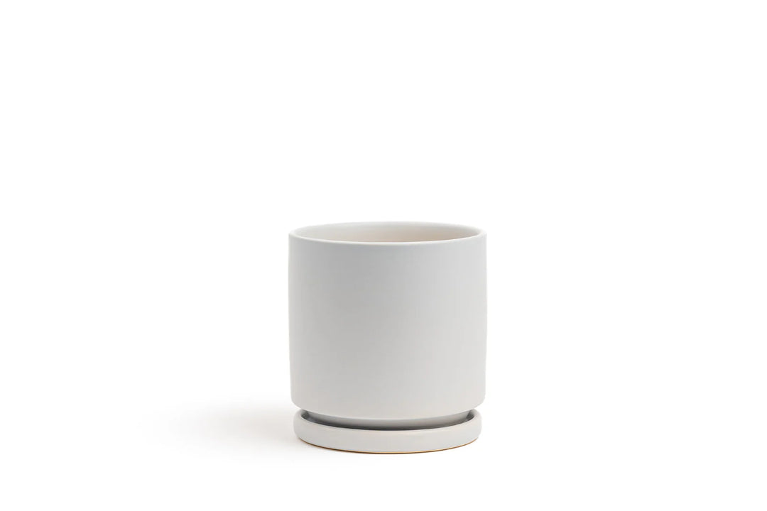 Cylinder Pot with Saucer