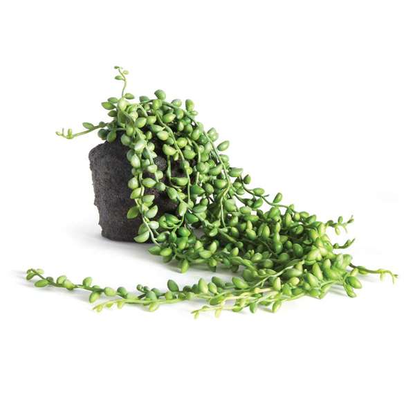 Faux String of Pearls