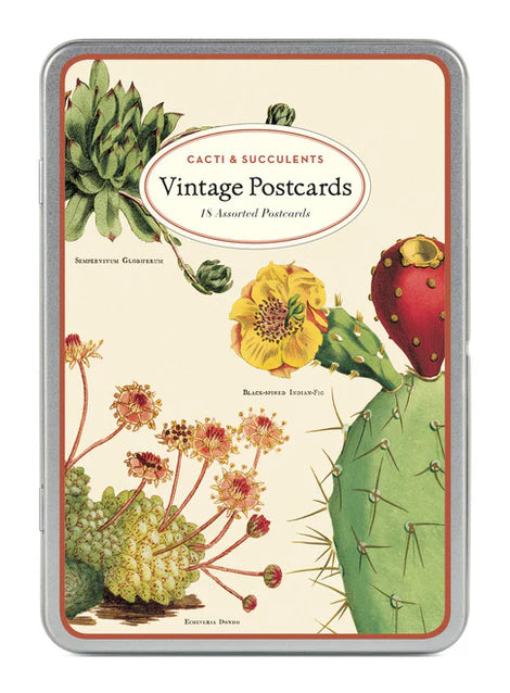 Cavallini Vintage Postcard Set