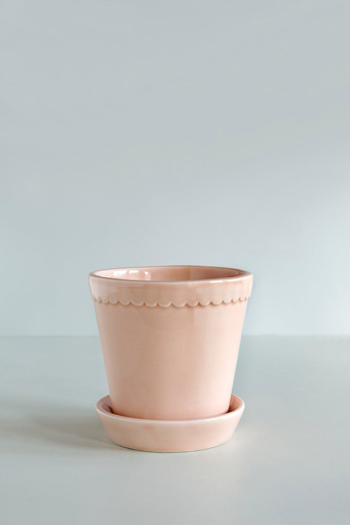 Bergs Scallop Pot