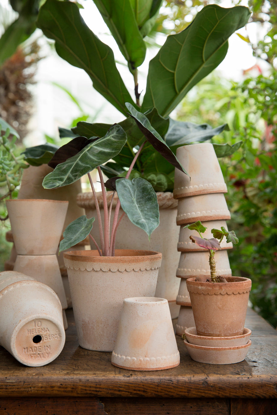 Bergs Scallop Pot