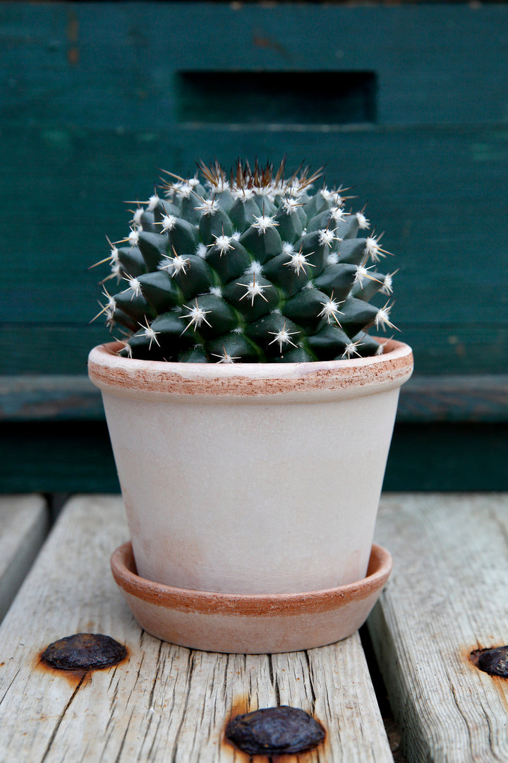 Bergs Rim Pot