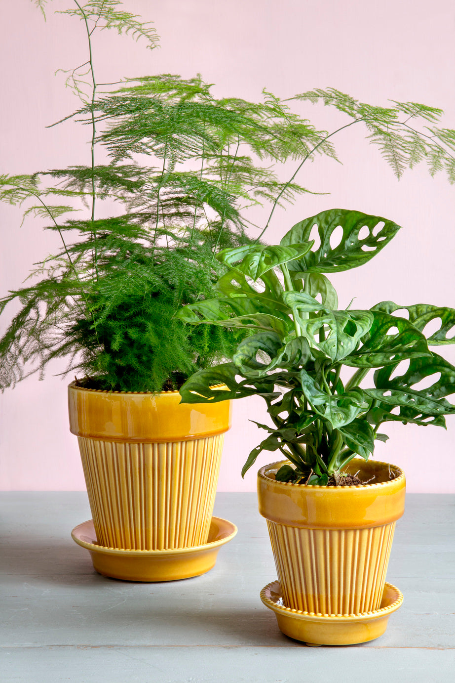 Bergs Linear Pot