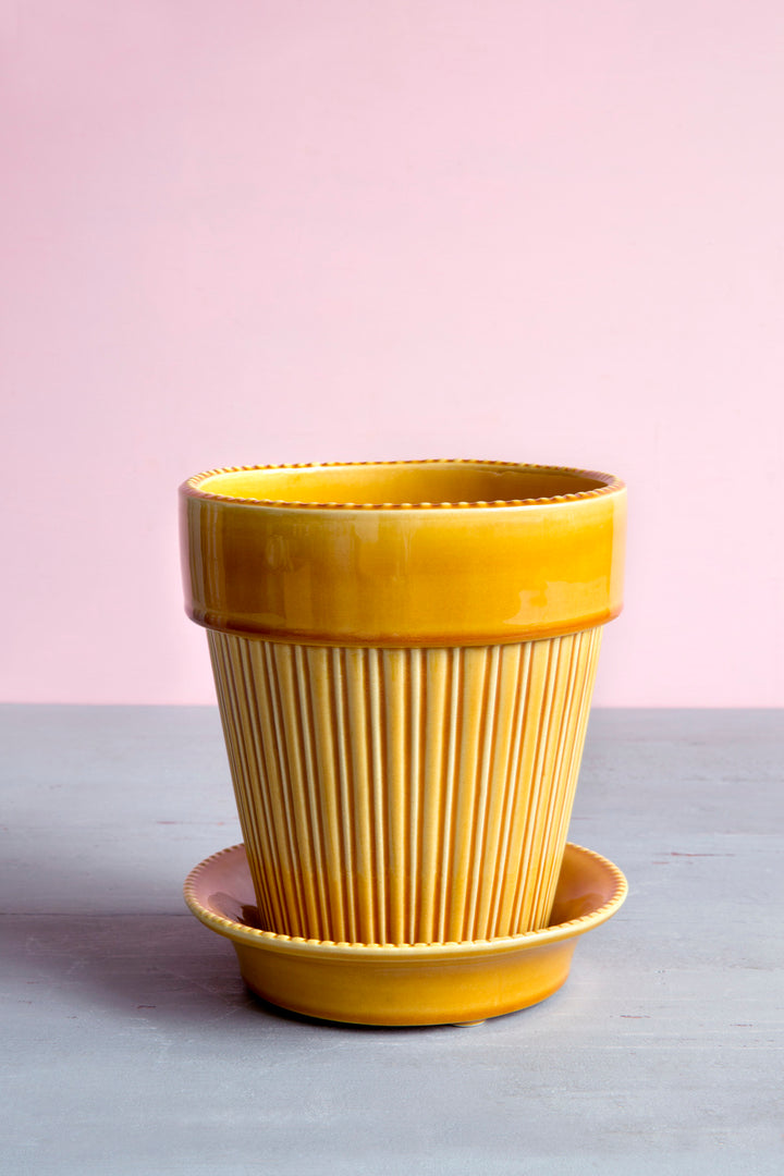 Bergs Linear Pot