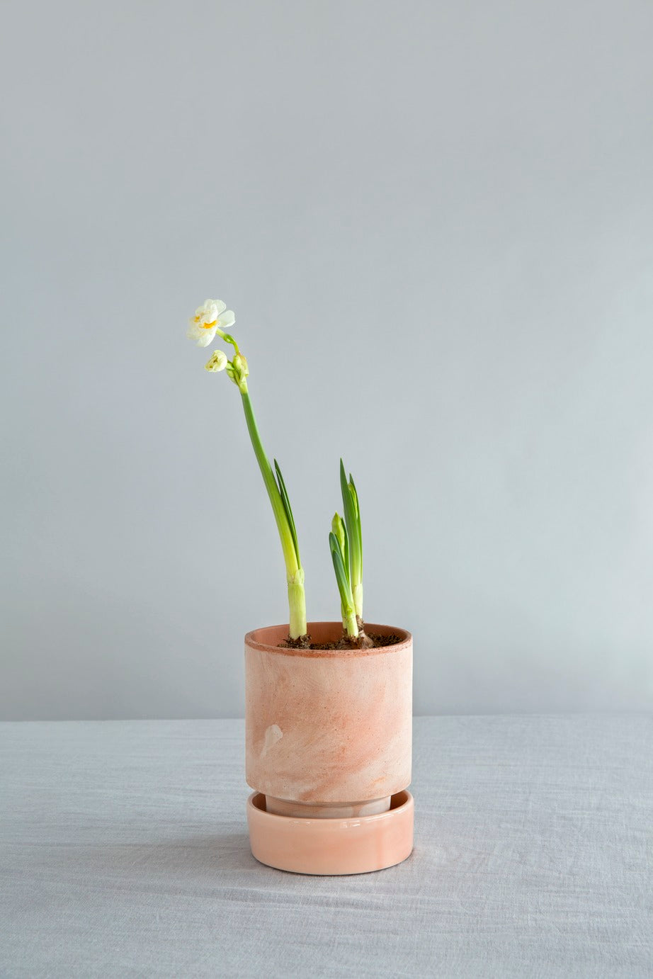Bergs Cylinder Pot