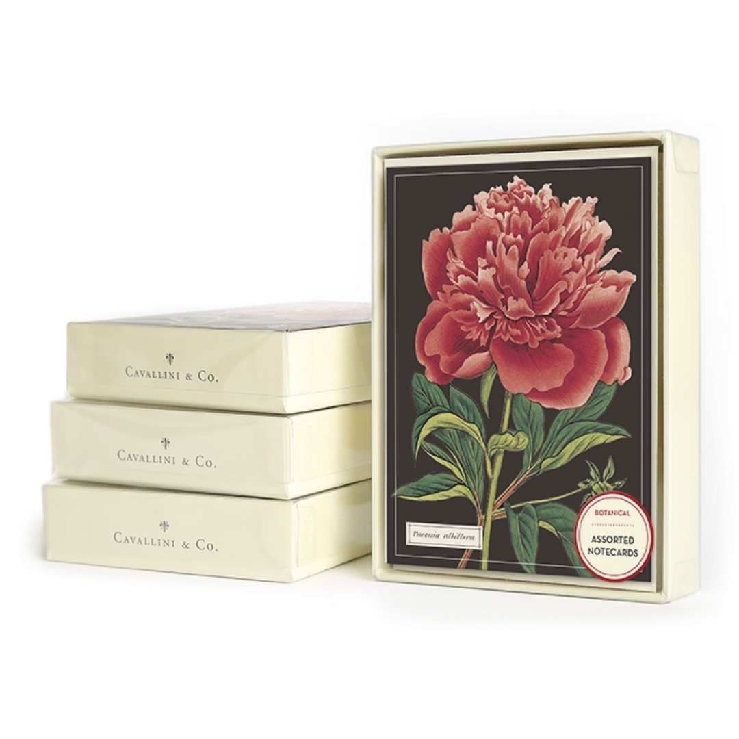 Boxed Notecards