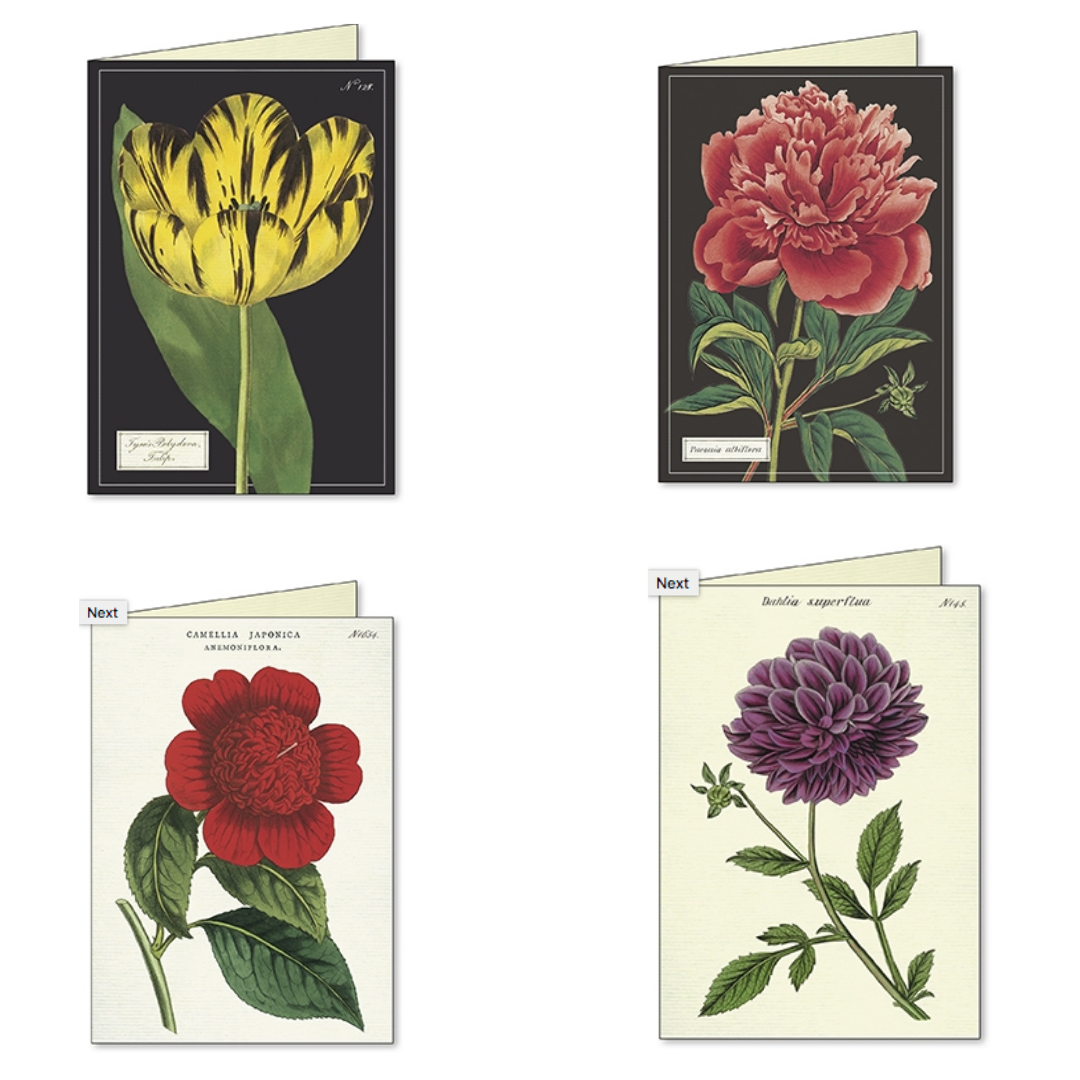 Boxed Notecards