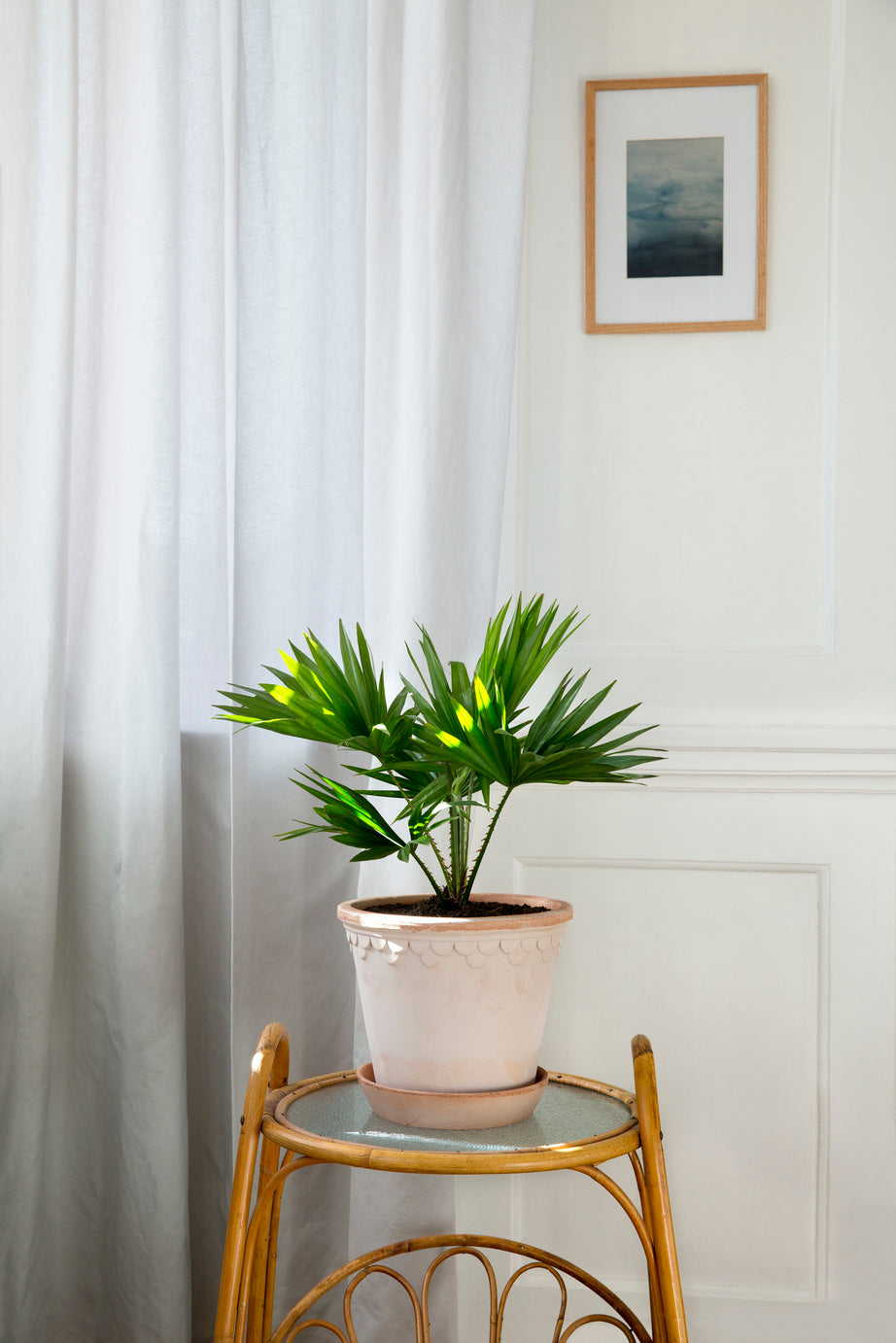 Bergs Double Scallop Pot