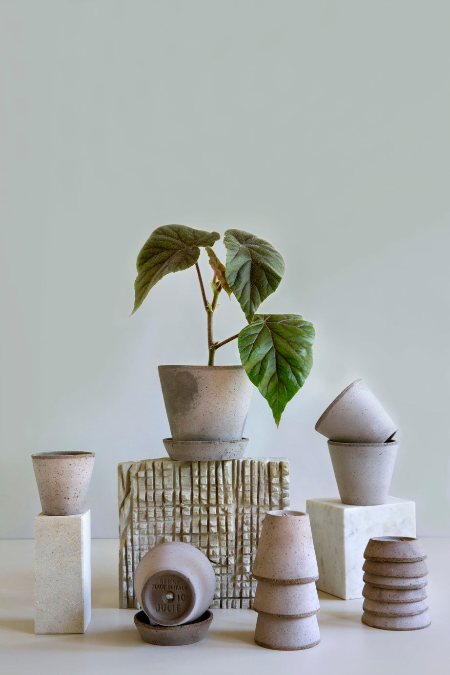 Bergs Simple Pot