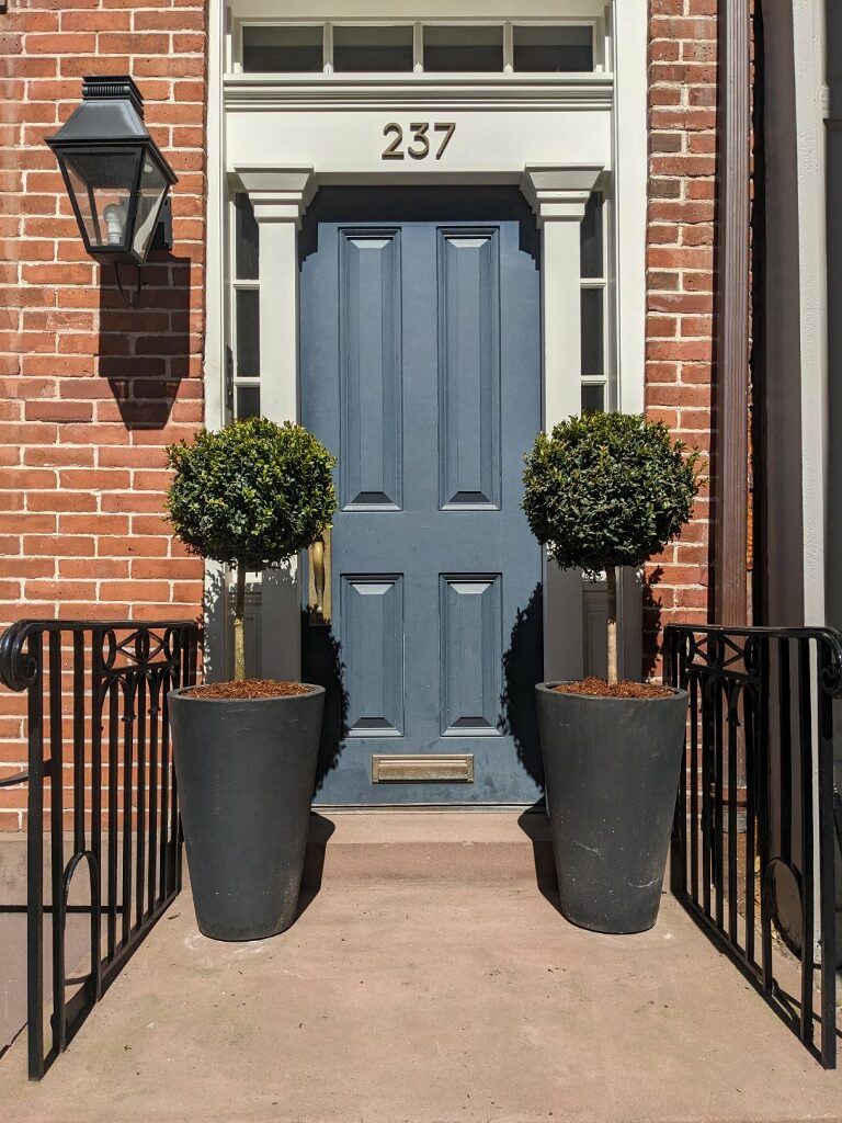 Boxwood Topiary